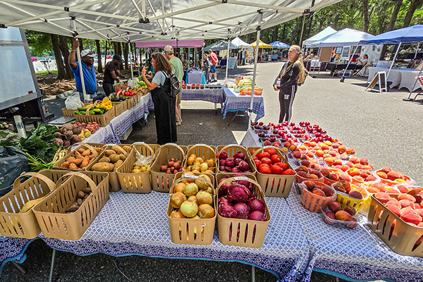 Farmers market with local produce and community food vendors