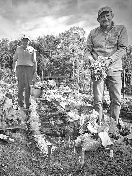 Image of founder Frank Webb with inspiring presence of grandfather in background