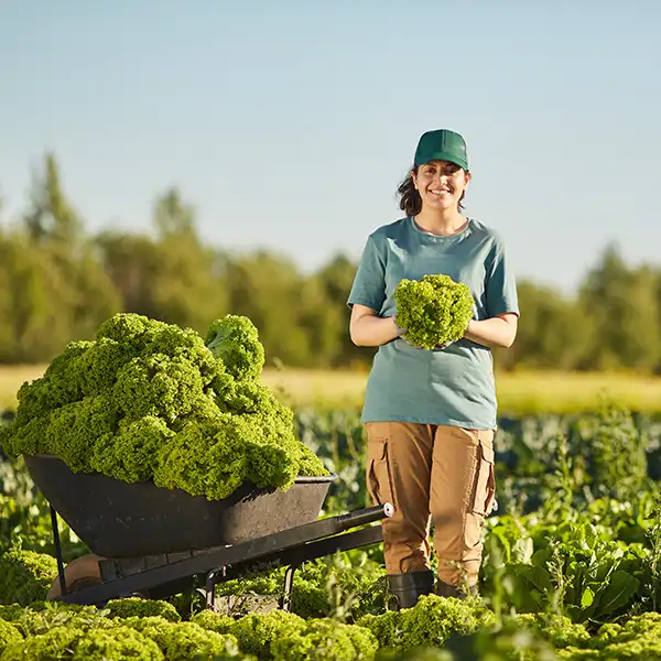 Local food producer with freshly harvested food