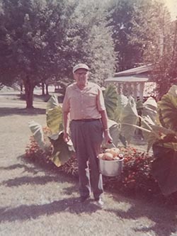 Image of Grandfather with harvest buckets in late 1960s