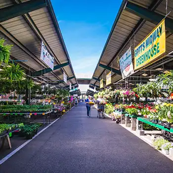 Farmers Market Name