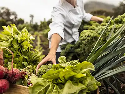Chef and local farmer