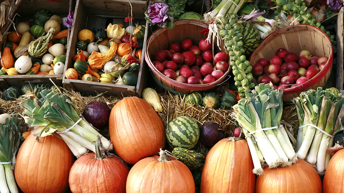 Seasonal Southern food available now