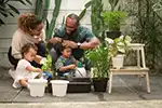 Home garden