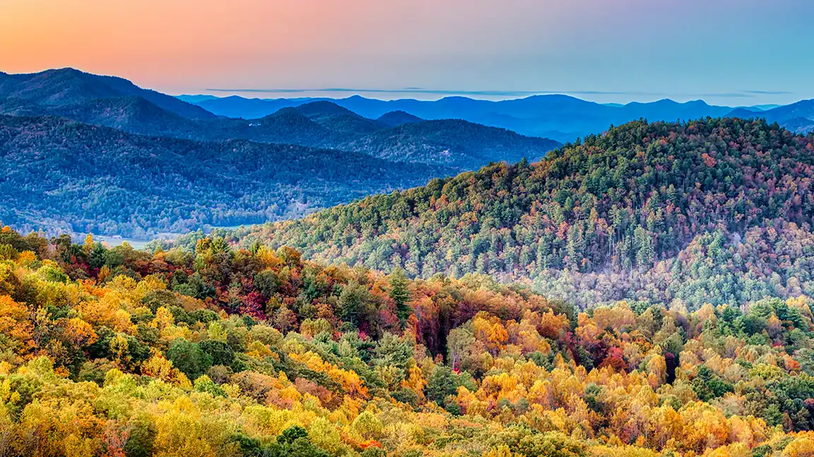 Georgia local food and agriculture