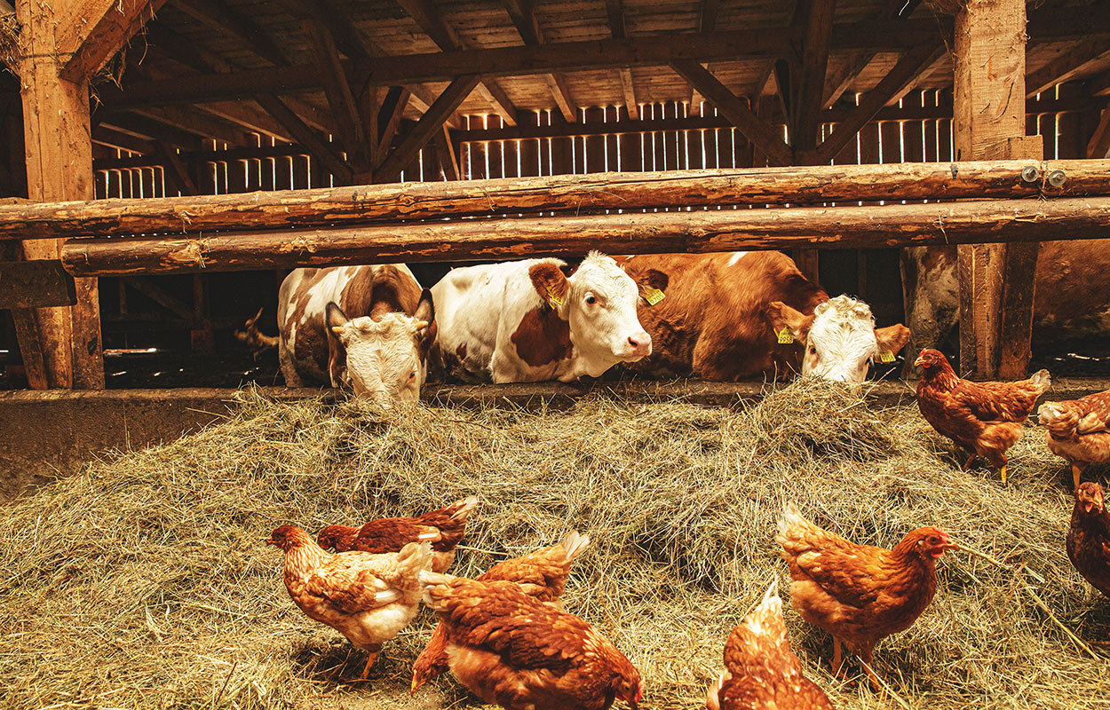 local farmers with produce