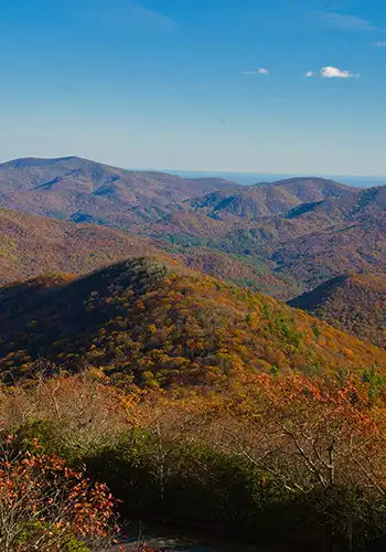 North Georgia farms and orchards