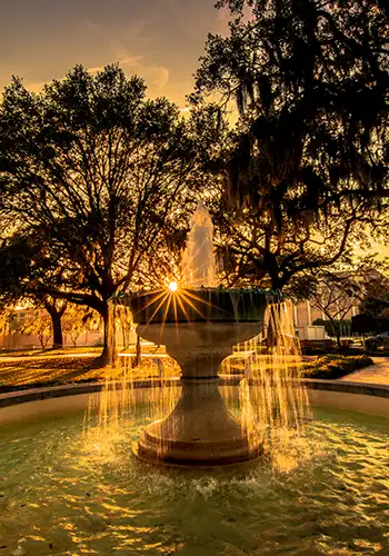Savannah and Georgia Coast food producers