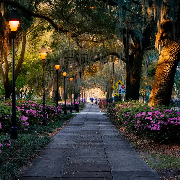 Savannah Georgia local food